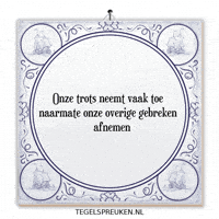 Humor Reflectie GIF by Tegelspreuken.nl