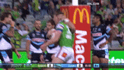 Nrl GIF by Canberra Raiders
