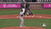 Major League Baseball Sport GIF by MLB