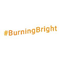 Burning Bright Congratulations Sticker by FLAME University