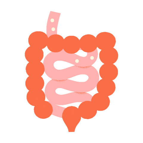floracode giphyupload Sticker