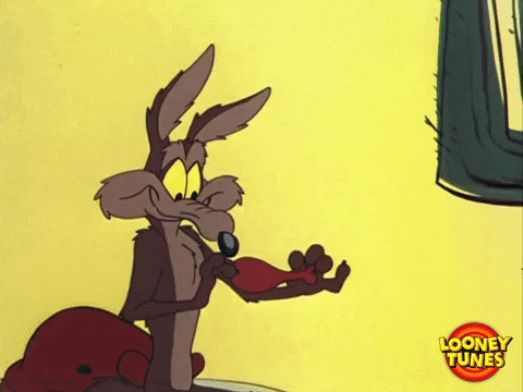 wile e coyote wtf GIF by Looney Tunes