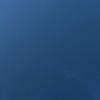 Celebration Weiss GIF by GCZ