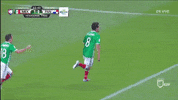 copa del mundo mexico GIF by MiSelecciónMX