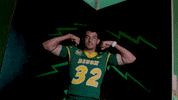 Bison GIF by NDSU Athletics