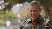 Jeff Goldblum Magic GIF by National Geographic Channel