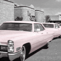 marykay celebrate birthday happy birthday boss GIF