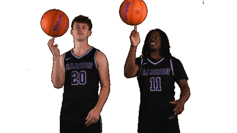 Ppp D3 Sticker by Albion College