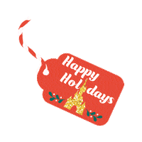 Merry Christmas Sticker by Disneyland Paris