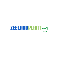 Zeeland Plant Sticker by Percy's Creative Agency