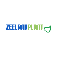 Zeeland Plant Sticker by Percy's Creative Agency