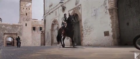 Tiger Zinda Hai GIF