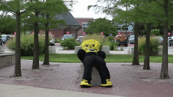Wu_Shock tired relax wsu wu GIF