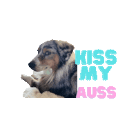 Australian Shepherd Aussie Sticker by FlowPhysio