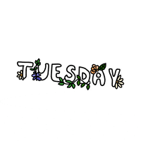 Text Week GIF by Ivo Adventures
