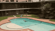 girl swimming GIF by LINDSEY L33