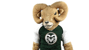Csurams Gorams Sticker by Colorado State Rams