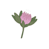 Art Pink Sticker