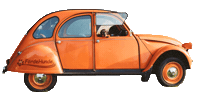 Dog Jump Sticker by foerdehunde