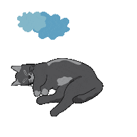 Farinity cat sun weather clouds Sticker