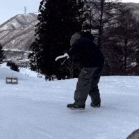 Janefu GIF