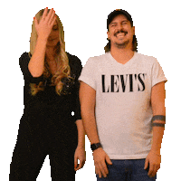 antennekaernten kärnten antenne antennekärnten kaernten Sticker