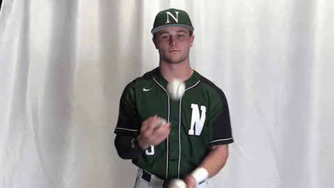 Collegebaseball Ncaadii GIF by RiverHawk Sports
