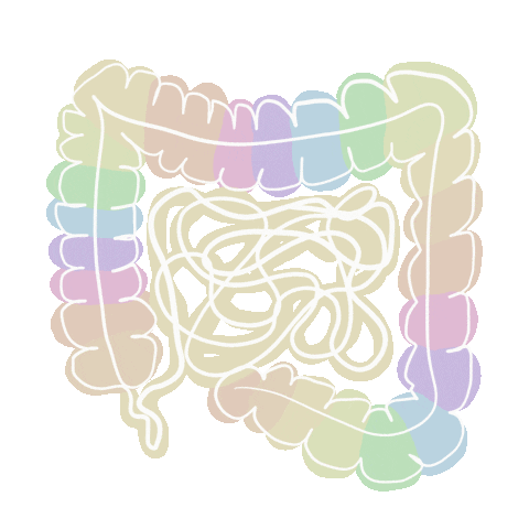 art_scalpel giphyupload food good anatomy Sticker