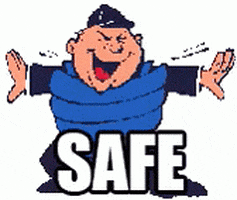 Safe GIF by memecandy