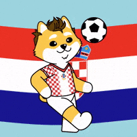 World Cup Football GIF by Dogelon Mars