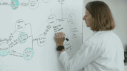 rebecca richards kortum GIF by MacArthur Foundation