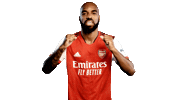 Football Sport Sticker by Arsenal
