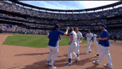 Celebrate Jesse Winker GIF by New York Mets