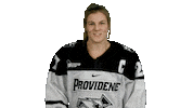 Sticker by Providence Friars