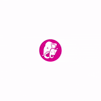 Elephantattaofficialbrand sun cooking sunshine sunny GIF