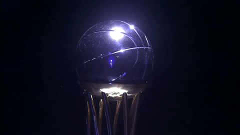 liga endesa basketball GIF by ACB