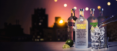 vodka tonic drinks GIF by Absolut Vodka
