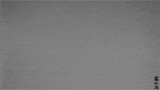 art direction nod GIF by MEGAN X KATHRYN PURVES
