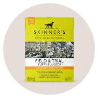 RogerSkinnerLtd ecofriendly labrador dog food retriever Sticker