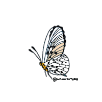summer sky Sticker by Ivo Adventures