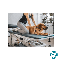 Hundeph Sticker by Europeanpetpharmacy