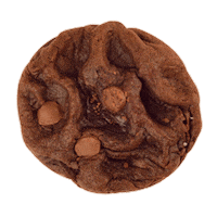 Monstercookies Sticker by Co Chocolat