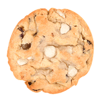 Monstercookies Sticker by Co Chocolat
