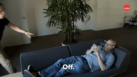 Dog Get Out Of Here GIF by BuzzFeed