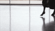 New York Fashion Week Proenza Schouler GIF by NYFW: The Shows