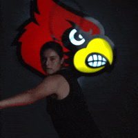 University Of Louisville Sport GIF by Louisville Cardinals
