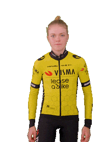 Road Cycling Sticker by Team Visma | Lease a Bike