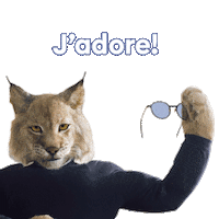 newlook-ca sunglasses glasses eyewear lynx Sticker