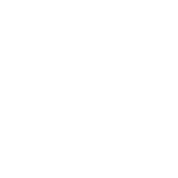 Palm Tree Sticker by Dos Cocos Locos Productions