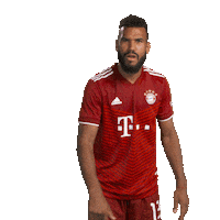 Eric Maxim Choupo Moting Wow Sticker by FC Bayern Munich